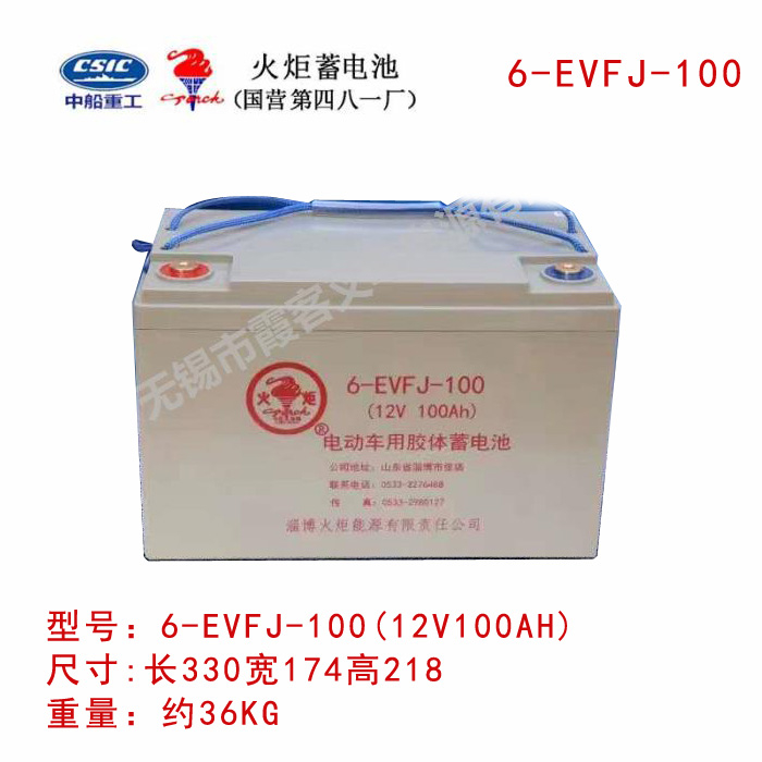 6EVFJ-100火炬蓄電池